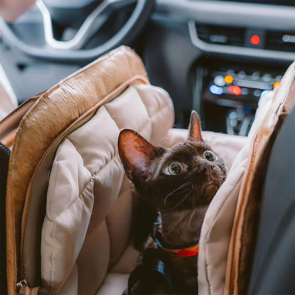 Vogue Eco-friendly Multi-functional Pet Travel Bag - City Roamer - Image 38
