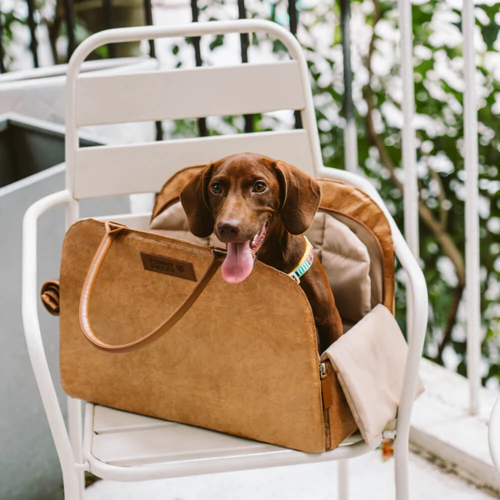 Vogue Eco-friendly Multi-functional Pet Travel Bag - City Roamer - Image 5
