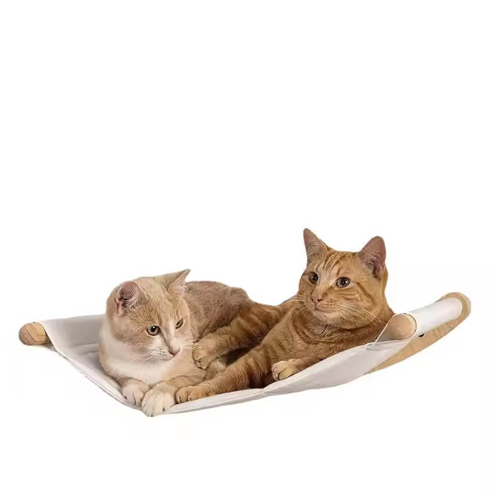 Wall-Mounted Cat Shelves Cat Wall Hammock with Steps - Image 7